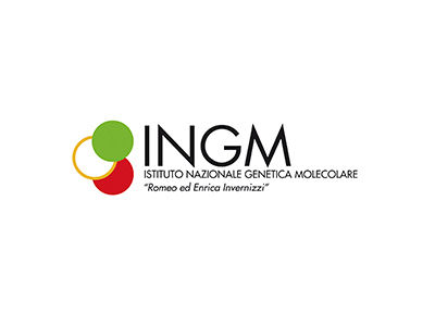 -	Fondazione Istituto Nazionale di Genetica Molecolare – INGM