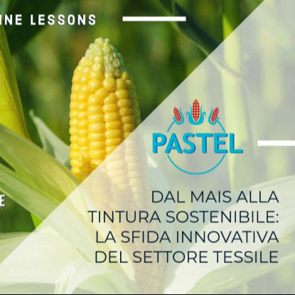 PASTEL - Pigmented maise cobs waste as an environmental friendly solution to dye natural fibers