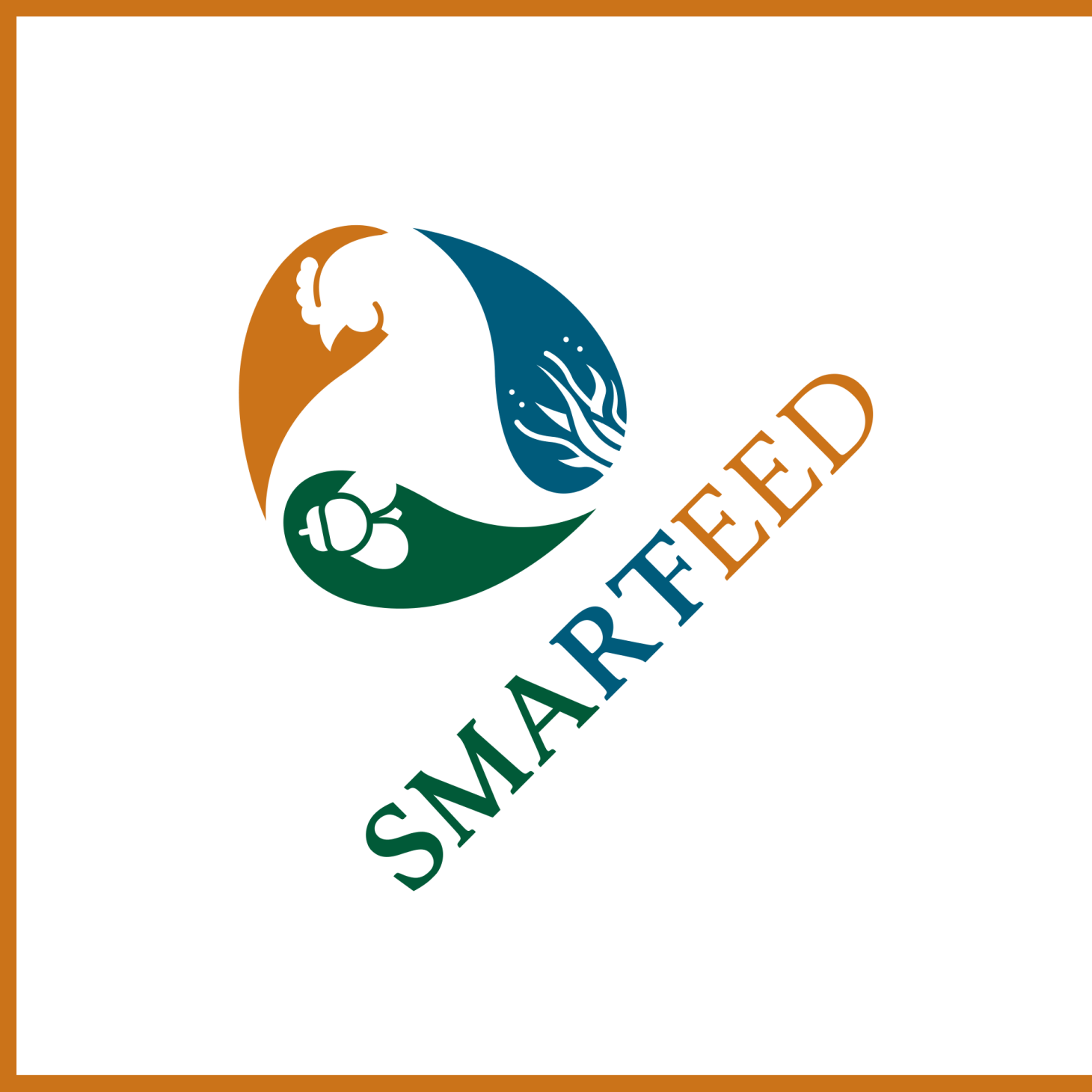 Smart Feed