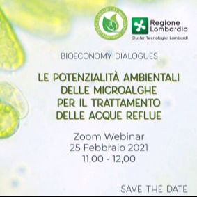 Bioeconomy Dialogues: Environmental potential of microalgae for wastewater treatment