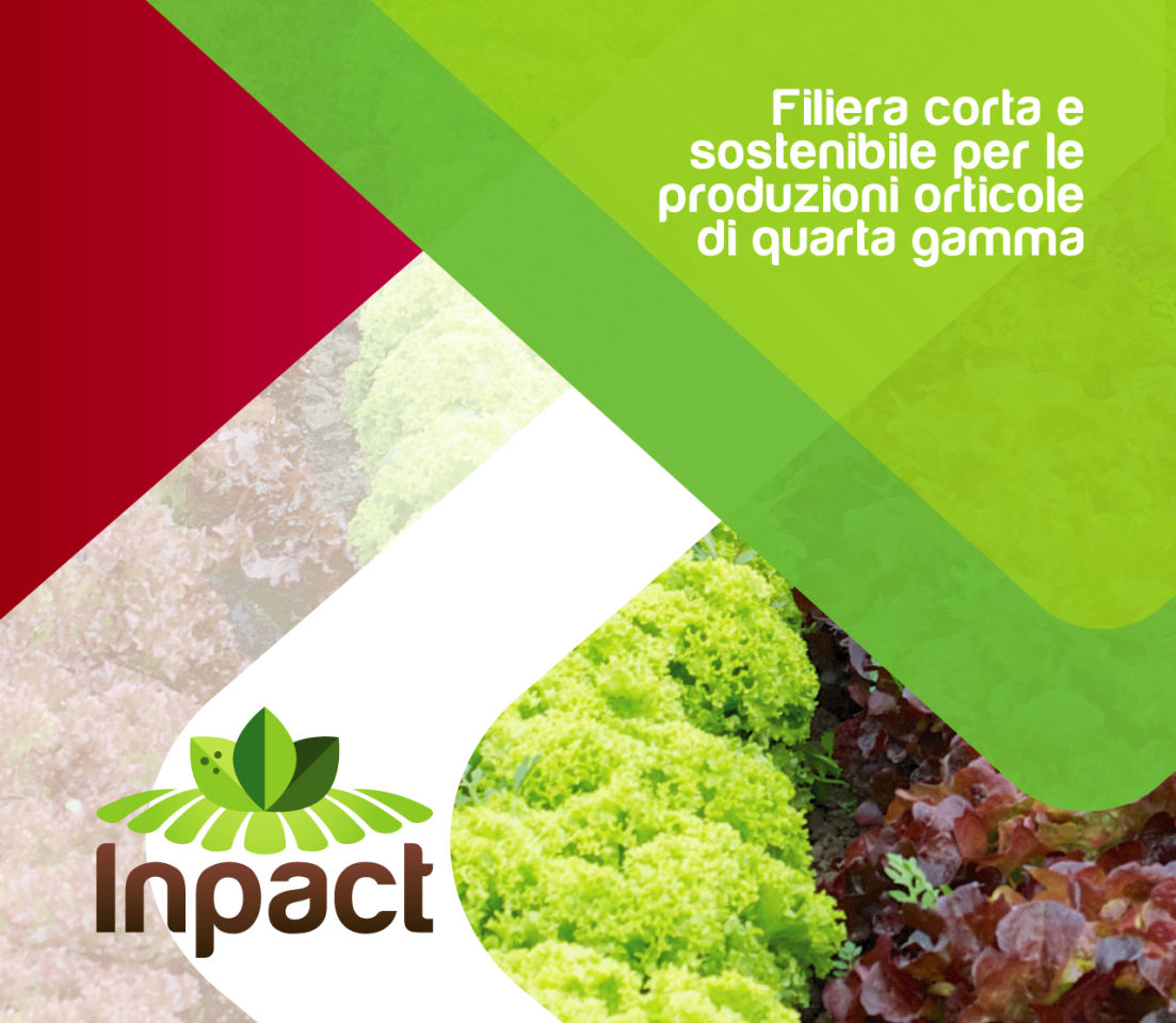 Inpact
