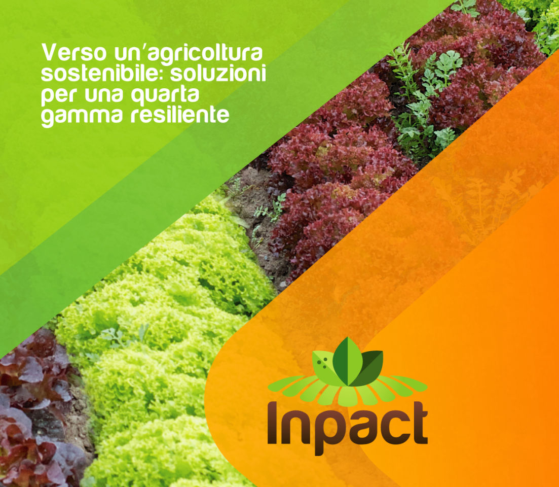 Inpact