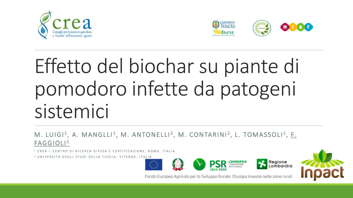 Effetto biochar