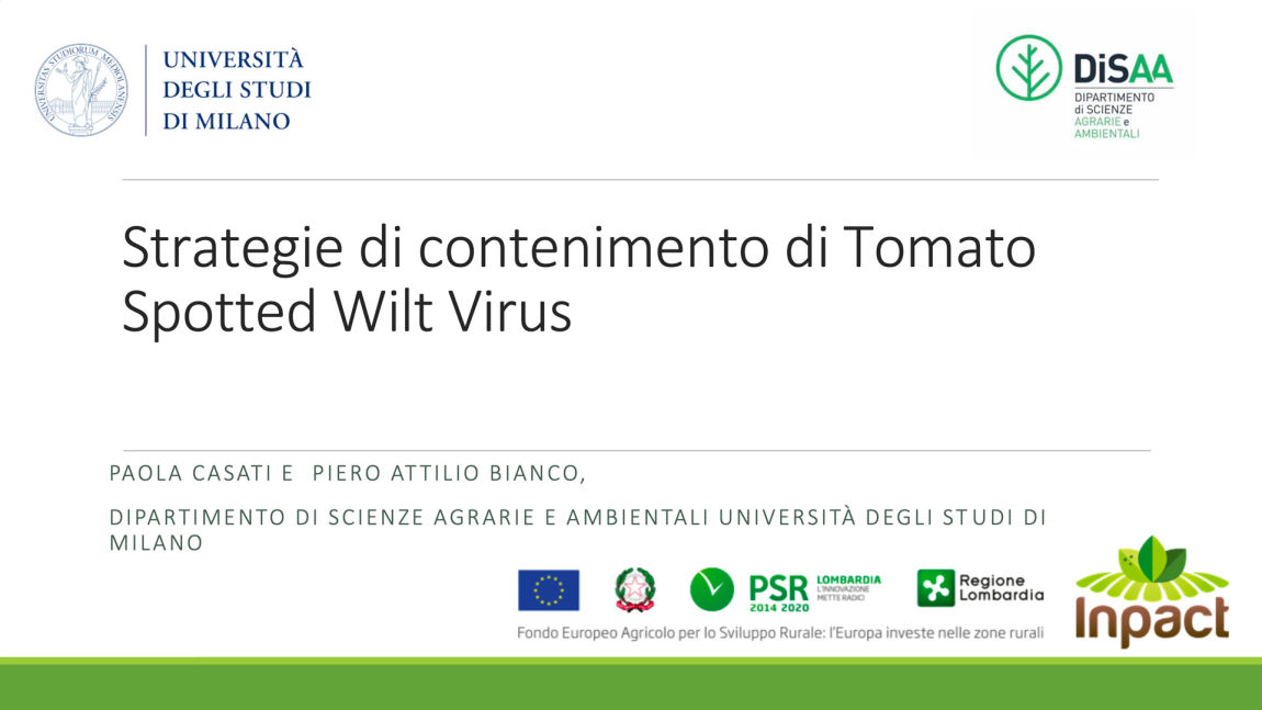 Strategie di contenimento